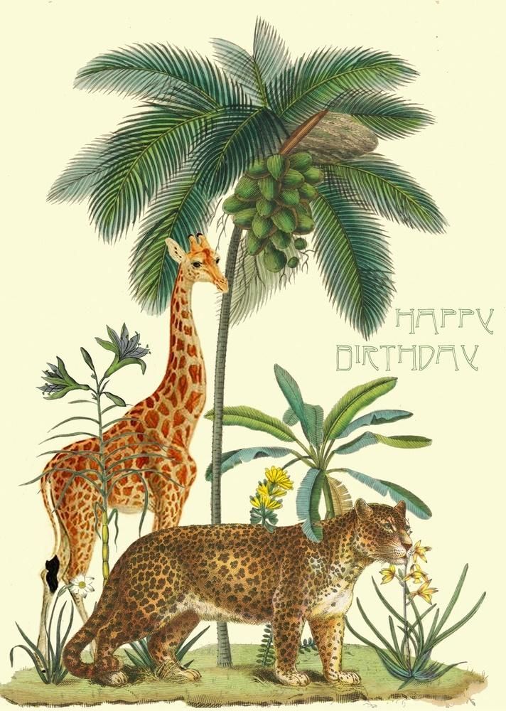 Madame Treacle Karnet B6 z kopertą Urodziny Kokos