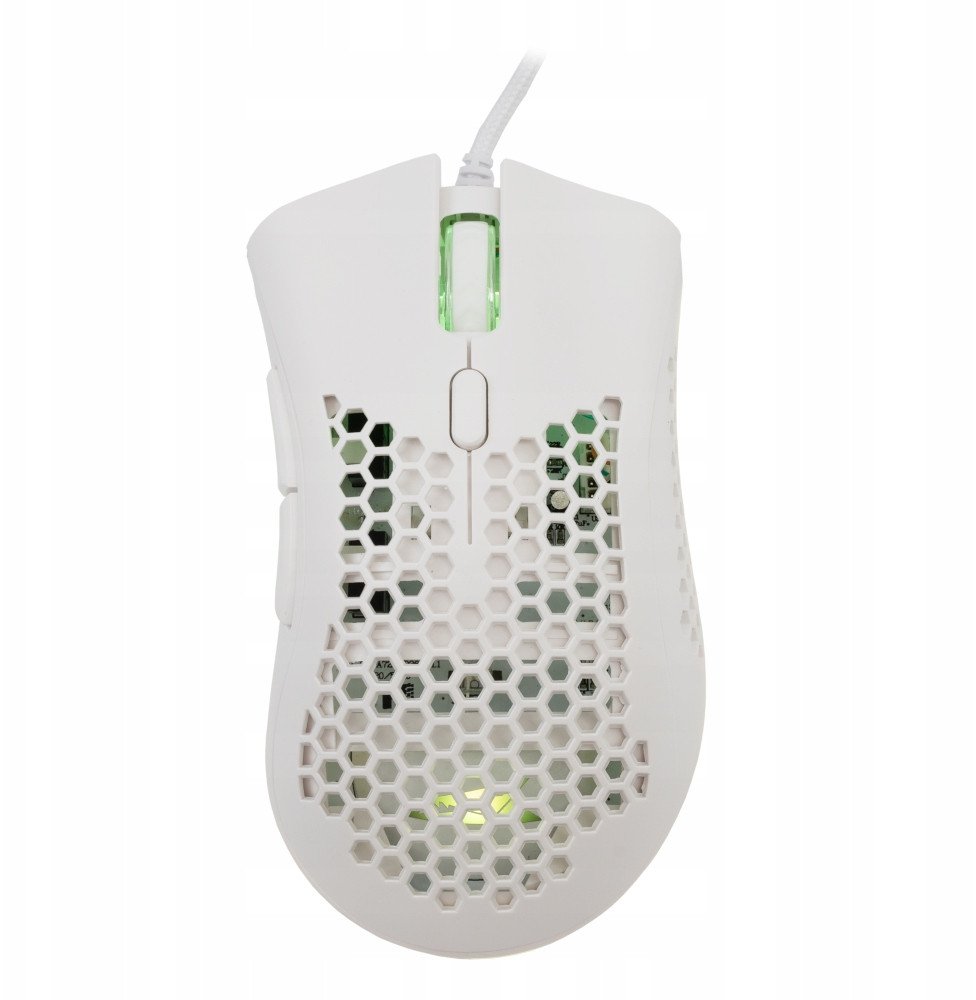 Baracuda BGM-031 Coral biały