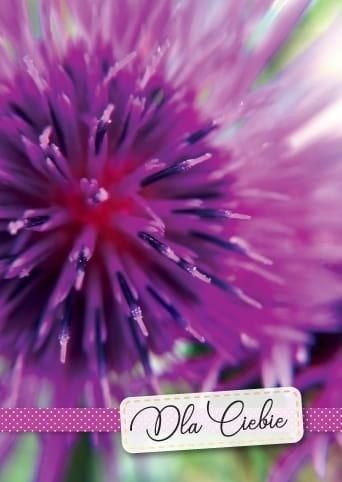 KUKARTKA Karnet B6 3DV-192 Dla Ciebie kwiaty