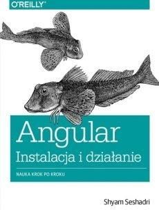Angular instalacja i działanie