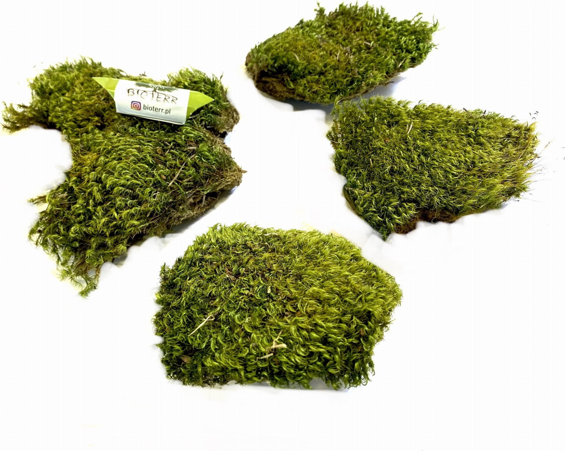 Bioterr BioClumb Moss Mech poduchy 100g