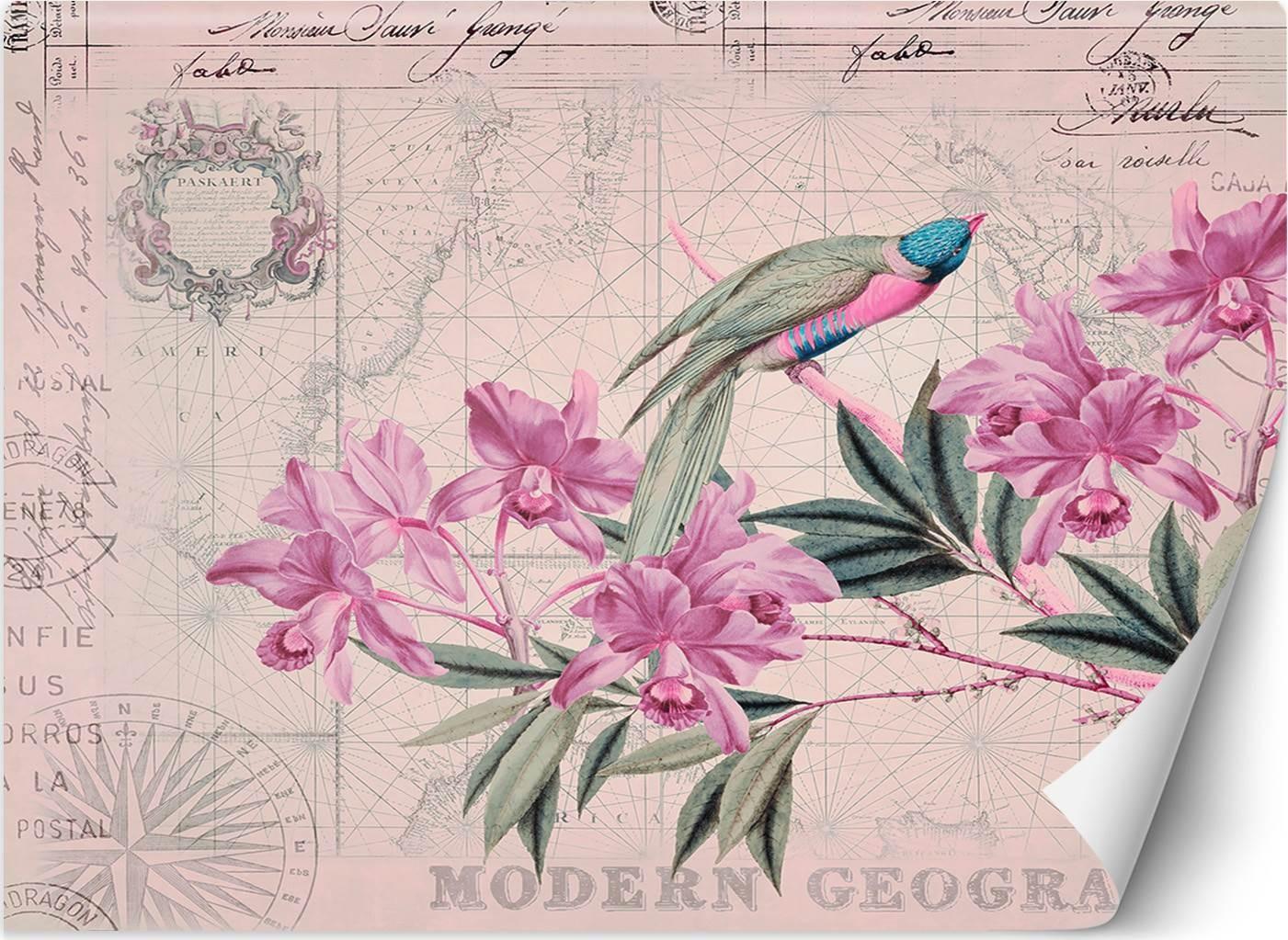 CaroGroup FOTOTAPETA Kwiaty Ptaki Vintage Różowy 250x175