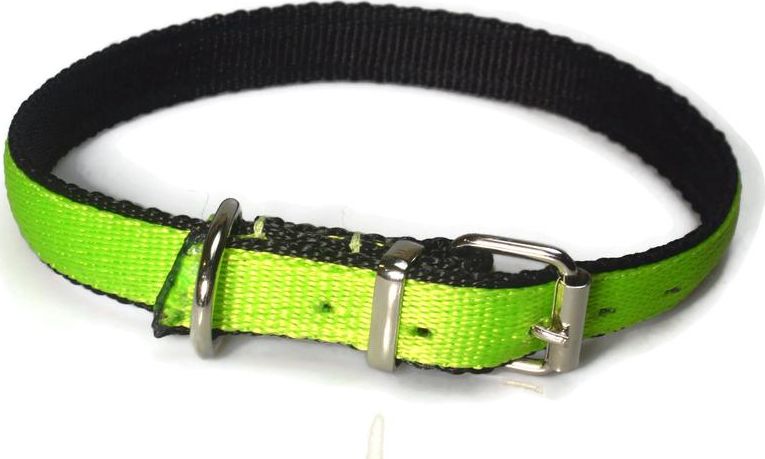 Alizoo Mocna podwójna obroża dla psa 20mm/40-48cm - ALIZOO