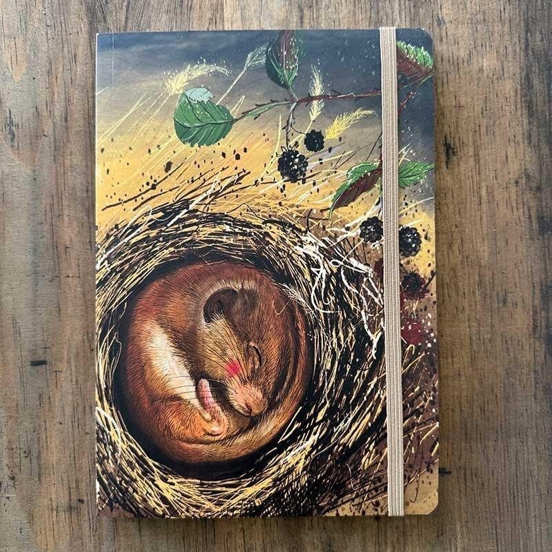 Notatnik z gumką A5 LCN37 Koszatka