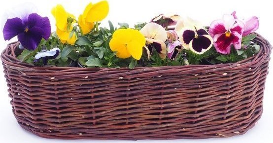 Wnuk Osłona na donicę (Owalna/40cm)