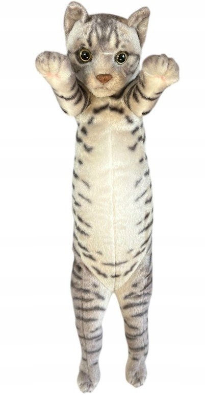 Kot stojący ciemno-szary 55cm