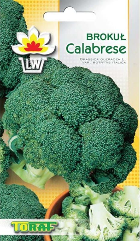 Toraf Brokuł Calabrese nasiona warzyw 1g TORAF