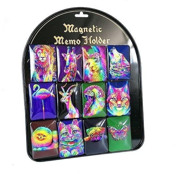 Magnes wypukły neon (12szt)