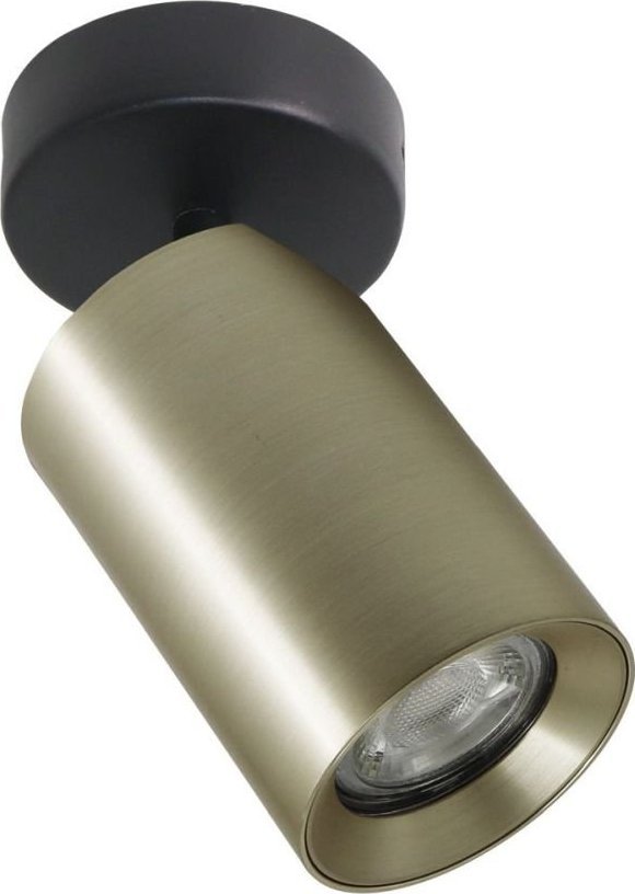 Zumaline Lampa reflektor spot na 2 sposoby montażu TORE TLS006-GLD Zuma Line