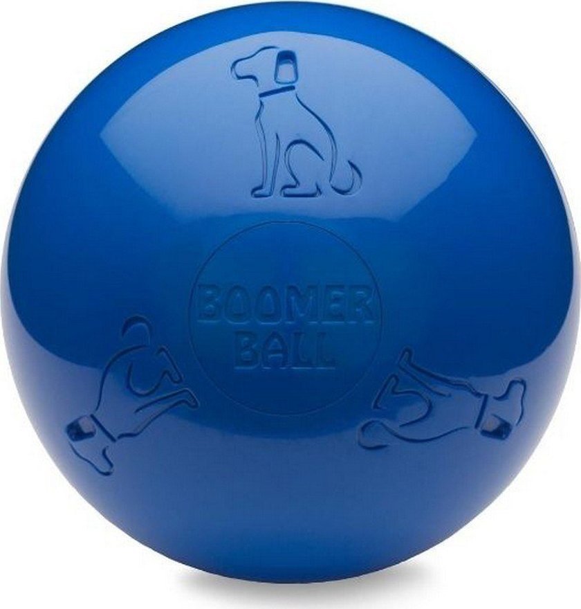 The Company of Animals Zabawka dla psów Company of Animals Boomer Niebieski (100mm)