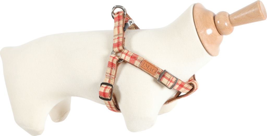 Zolux Szelki IMAO SCOTT 25 mm kol. czerwony