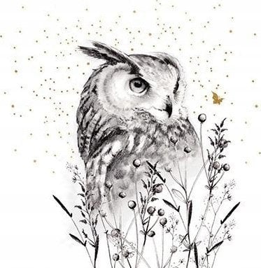 Teka Karnet Złocony kwadrat CL3817_BL Sowa