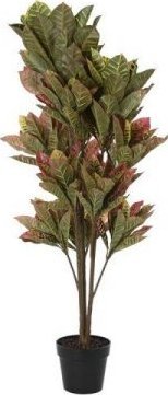 DKD Home Decor Roślina Dekoracyjna DKD Home Decor Brązowy Kolor Zielony PE (50 x 50 x 140 cm)