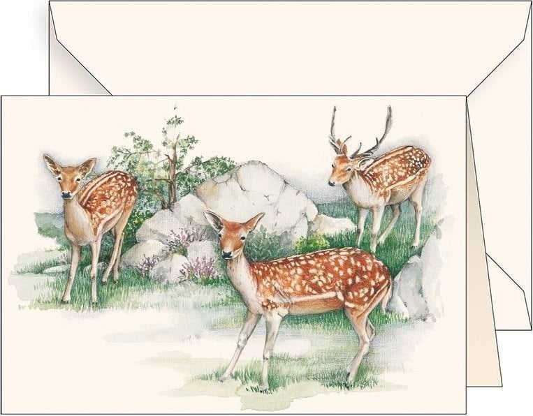 Karnet B6 + koperta 6106 Jelonki