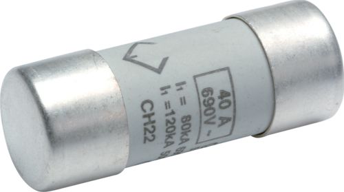 Hager Bezpiecznik cylindryczny BiWtz 22 x 58 gG 40A (LF540G)