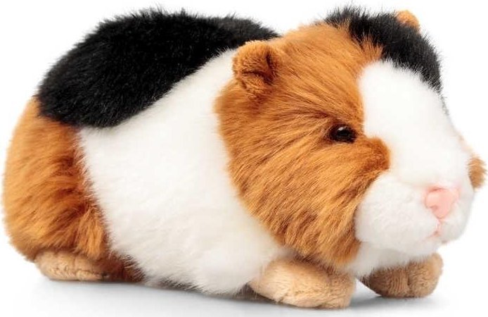 Adar Pluszowy chomik