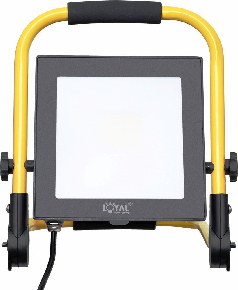 Loyal Lighting Lampa naświetlacz przenośny LED na stojaku z wtyczką 30W