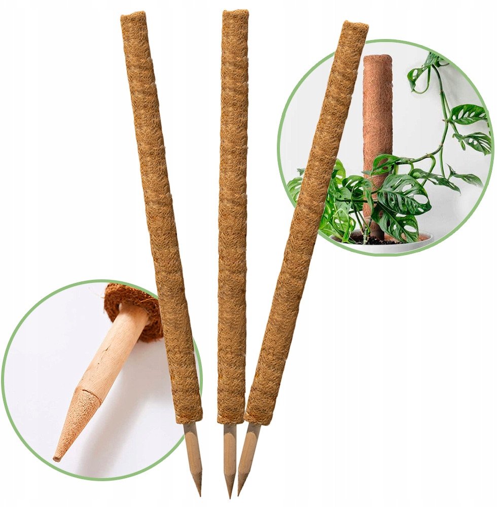 Palik kokosowy 120 cm podpora do roślin tyczka 3 szt ZESTAW