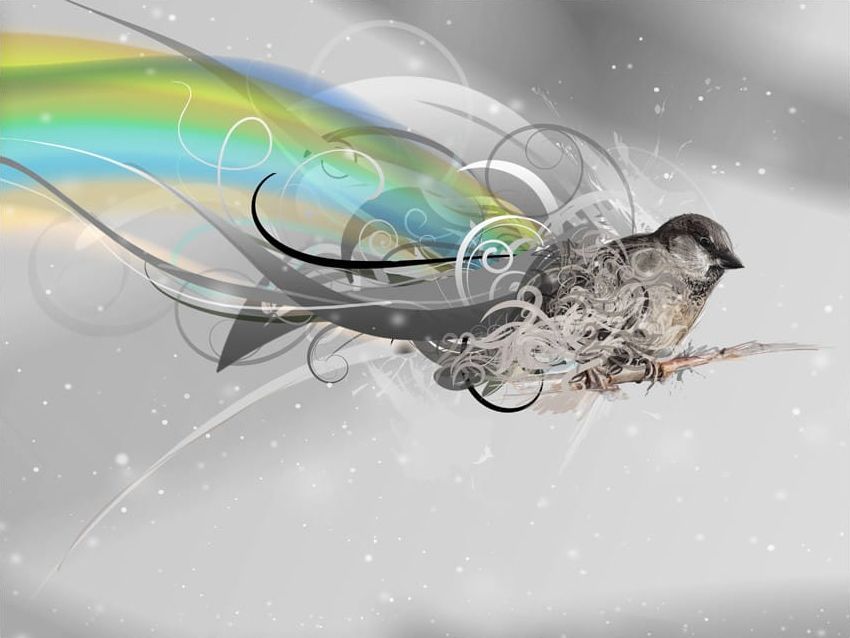 DecoNest Fototapeta - Inny wymiar - 350X270