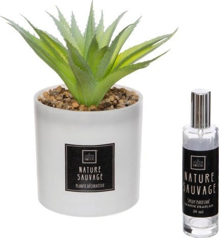 Atmosphera Sztuczna roślina z olejkiem zapachowym NATURA SAUVAGE