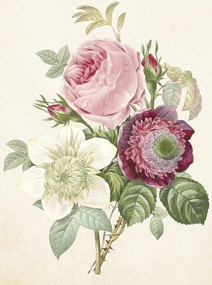 Skona Ting Karnet ST413 B6 + koperta Róże