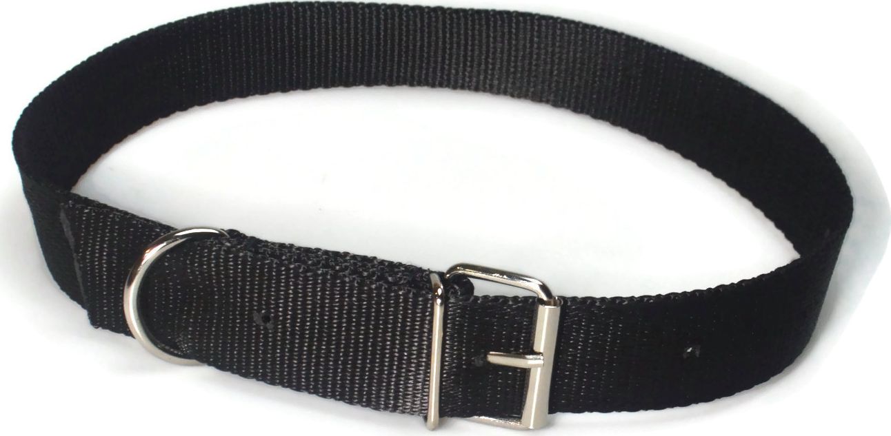 Alizoo Obroża dla dużego psa 30mm/48-67cm z metalową klamerką - ALIZOO