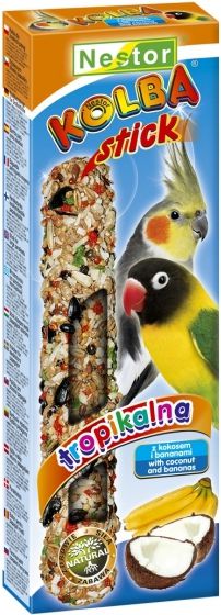 Nestor KOLBA PAPUGA ŚREDNIA OWOCE TROPIKALNE