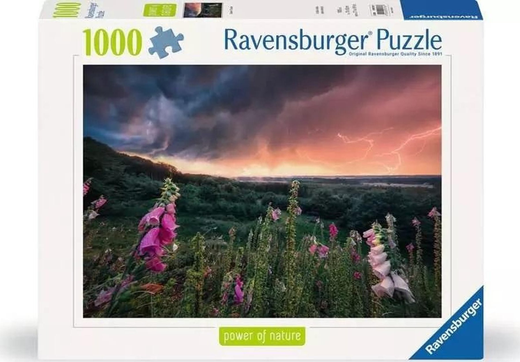 Ravensburger Puzzle Nadchodzi burza 1000 elementów