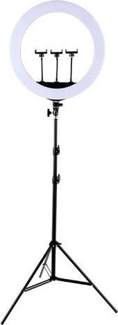 Naświetlacz Extra Digital LED žiedinė lempa 45cm, su trikoju stovu iki 2.1m