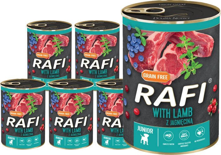 Mokra karma dla psa junior Rafi z jagnięciną zestaw 24 x 400 g