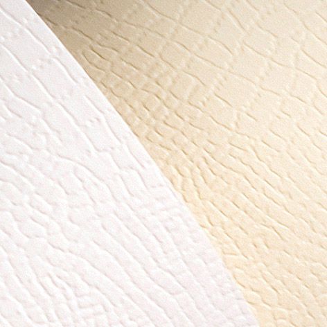 Argo Papier ozdobny Galeria Papieru borneo kremowy A4 kremowy 220g 20 ark