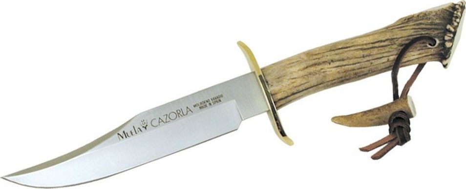 Muela Muela CAZORLA STAG 16