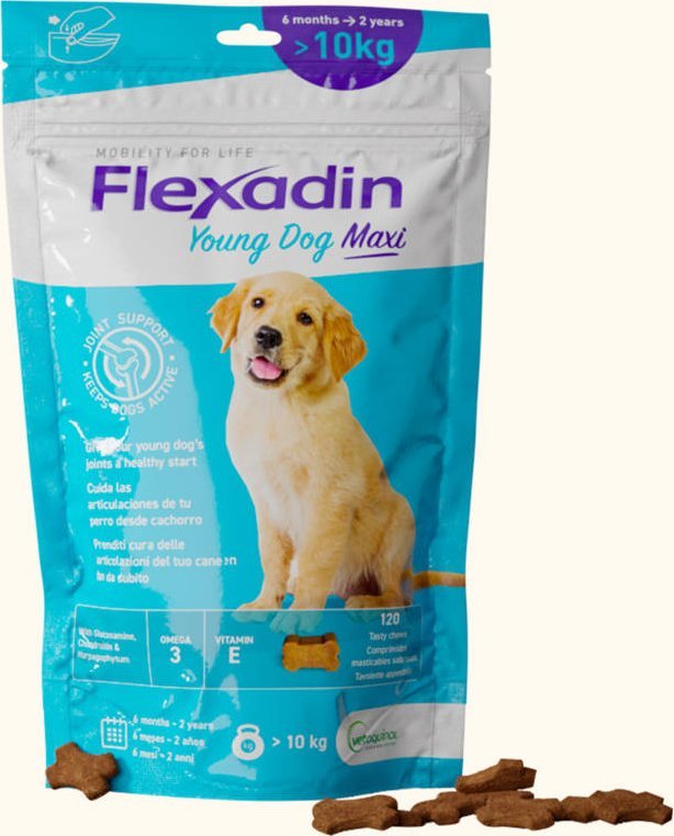 Triton VETOQUINOL Flexadin Young Dog Maxi 60kąsków