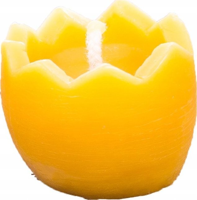 Łysoń Świeca z wosku pszczelego jajko skorupka (S275) - S275