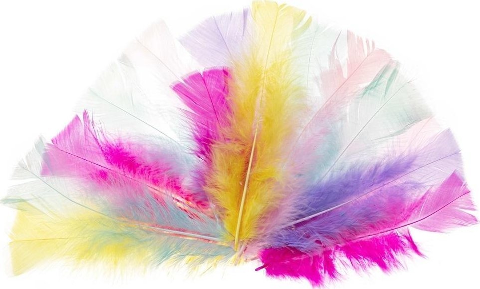 Piórka indycze ścięte pastelowe 10-15cm