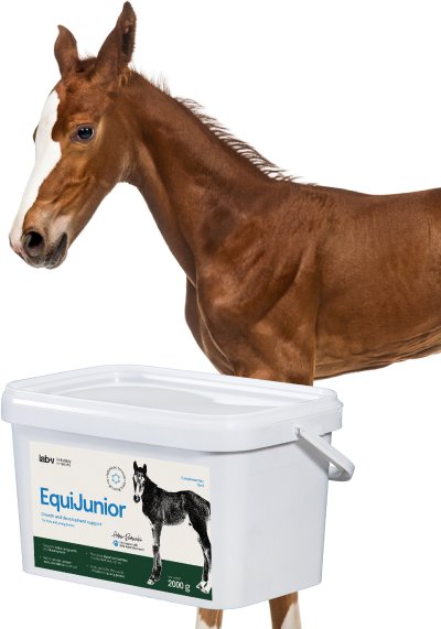 Lab-v EquiJunior Mieszanka paszowa uzupełniająca dla źrebiąt, wspierająca wzrost, rozwój i prawidłowe żywienie młodych koni i kucyków 2000g