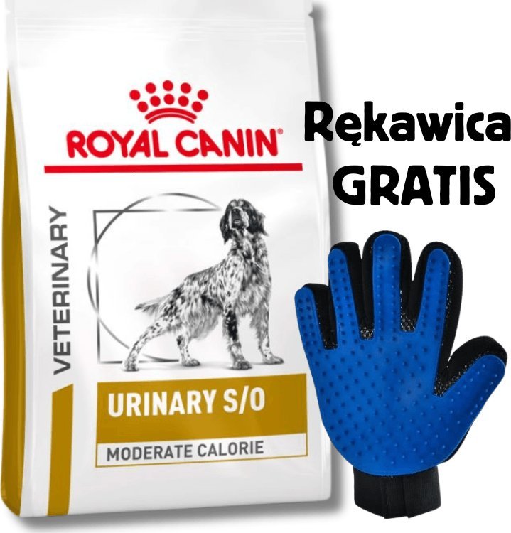 Royal Canin Urinary S/O 12 kg + Rękawica do czesania