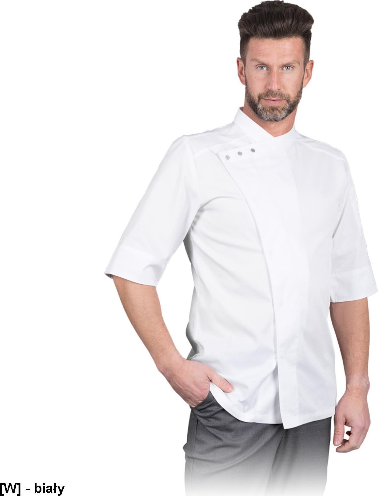 R.E.I.S. PESANTE - Bluza kucharska z krótkim rękawem, męska L