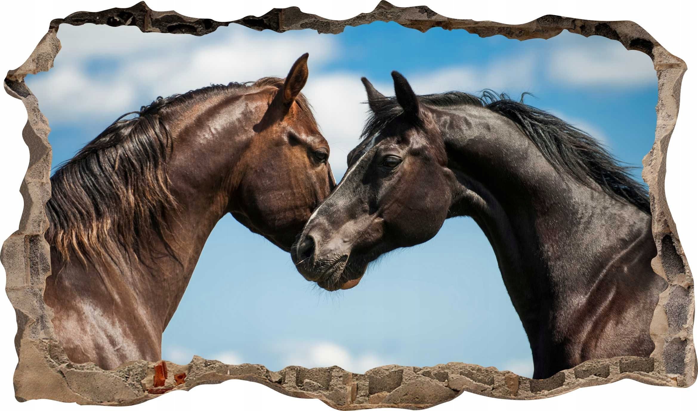 naSciane Naklejka 3d Koń Konie imitacja dziury w ścianie