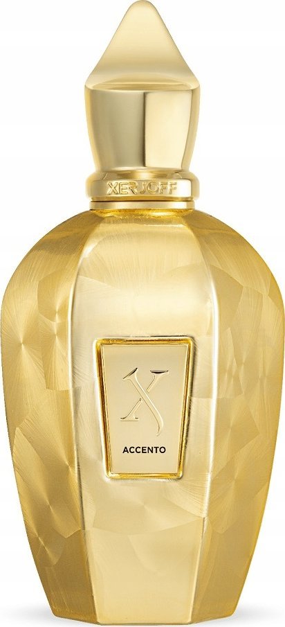 Xerjoff XERJOFF Accento Overdose EDP spray 100ml