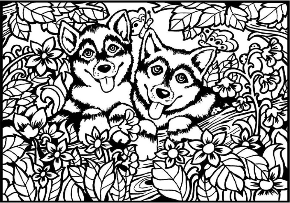 Kolorowanka Welwetowa 29,7x21 Pieski