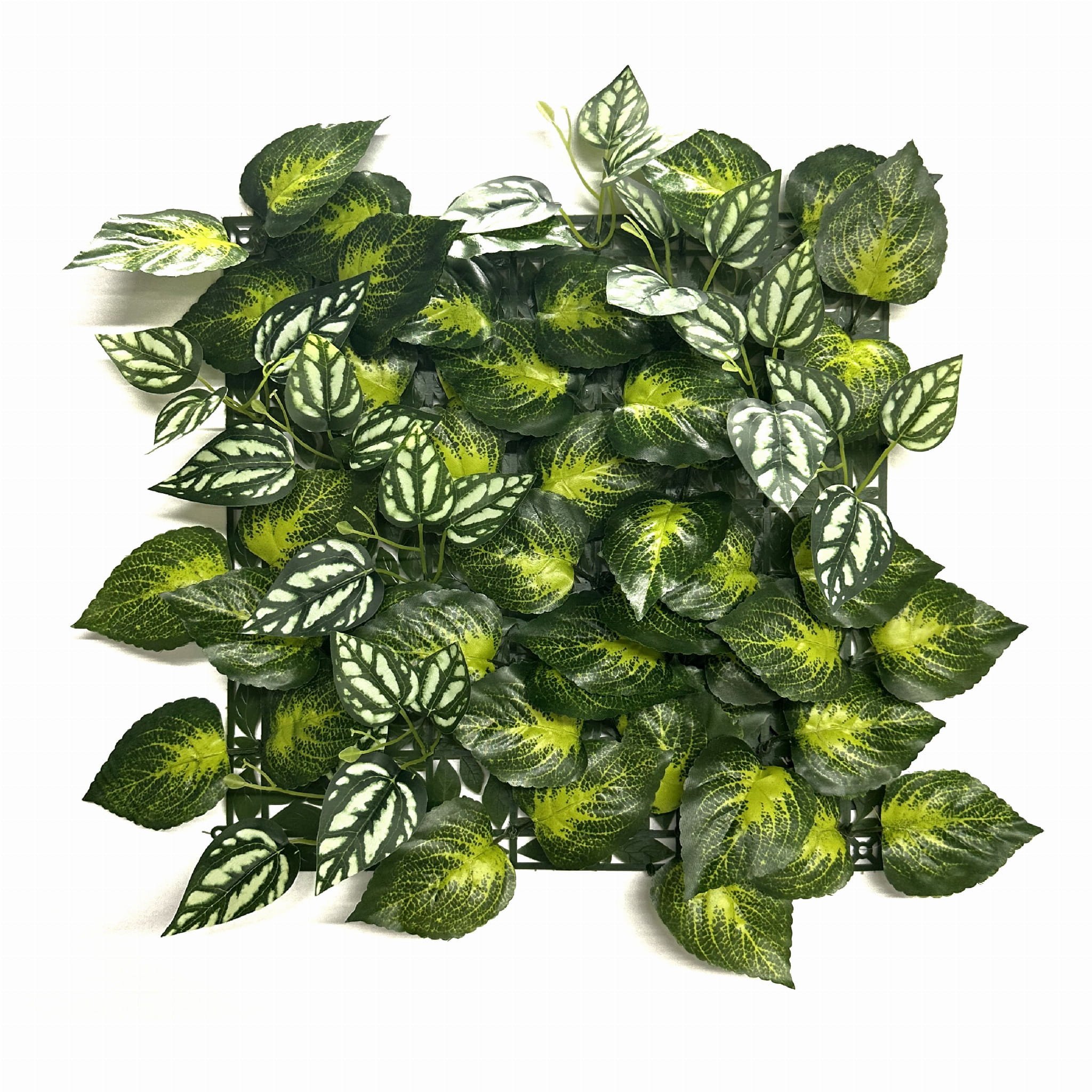 PANEL ZIELENI AUREUS 33X33 CM ŚCIANKA ZIELENI