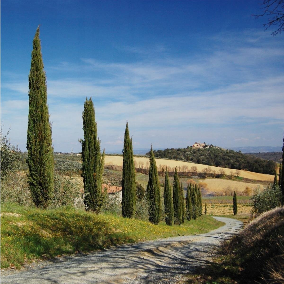 Filtr Walimex walimex pro Pol zirkular 67mm vergütet