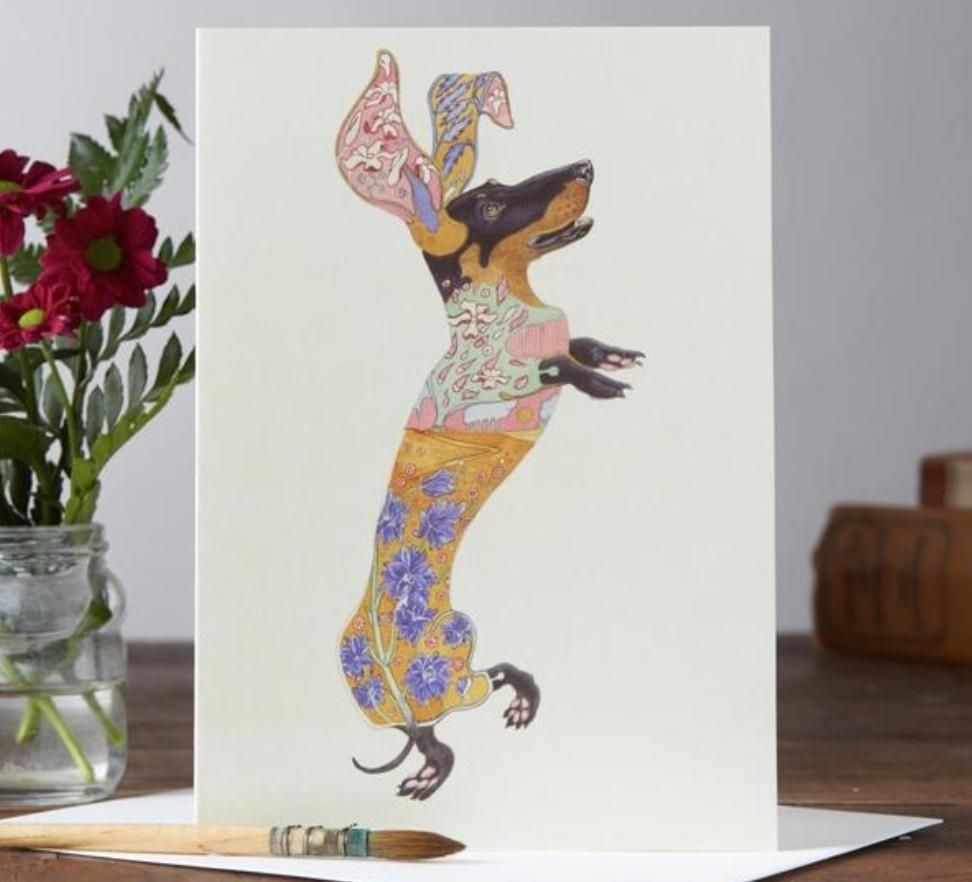 DM Collection Karnet A032 B6 + koperta Jamnik