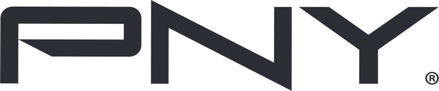 PRO ELITE HIGH ENDURANCE 256GB