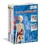 Clementoni Ciało ludzkie mini