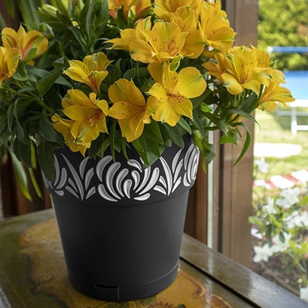 Puku pods ar paliktni Gaia O20x19cm melns 8003507884038