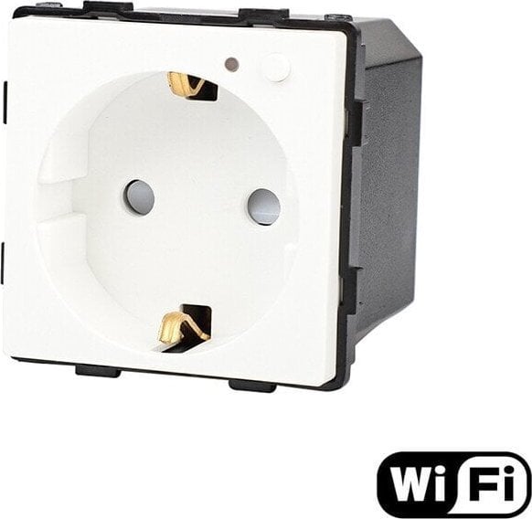 Tuya Kištukinis lizdas Feelspot, WiFi Tuya