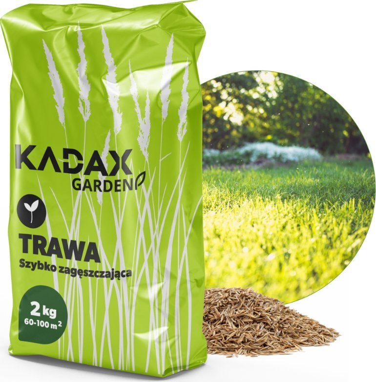 Kadax Trawa Uniwersalna Szybko Zagęszczająca 2kg 80M2