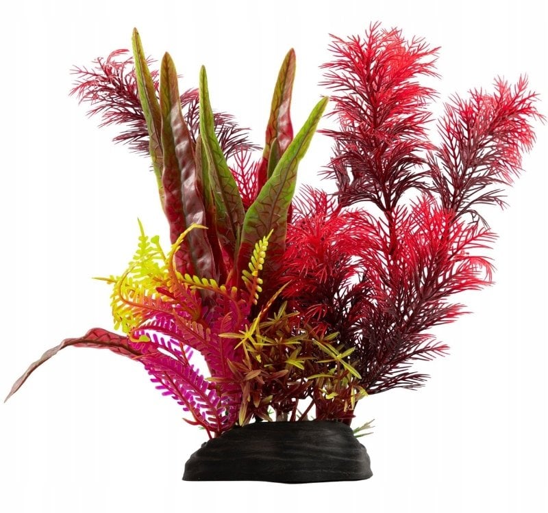 Terra Natura Aqua Natura, roślina, do dekoracji akwarium, czerwono-różowo-zielone, plastikowa, 20 cm, różne rośliny